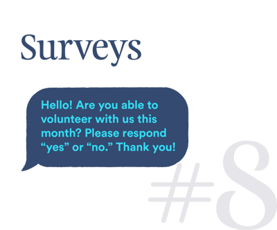 08 Surveys