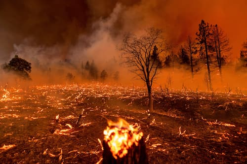 forest fire