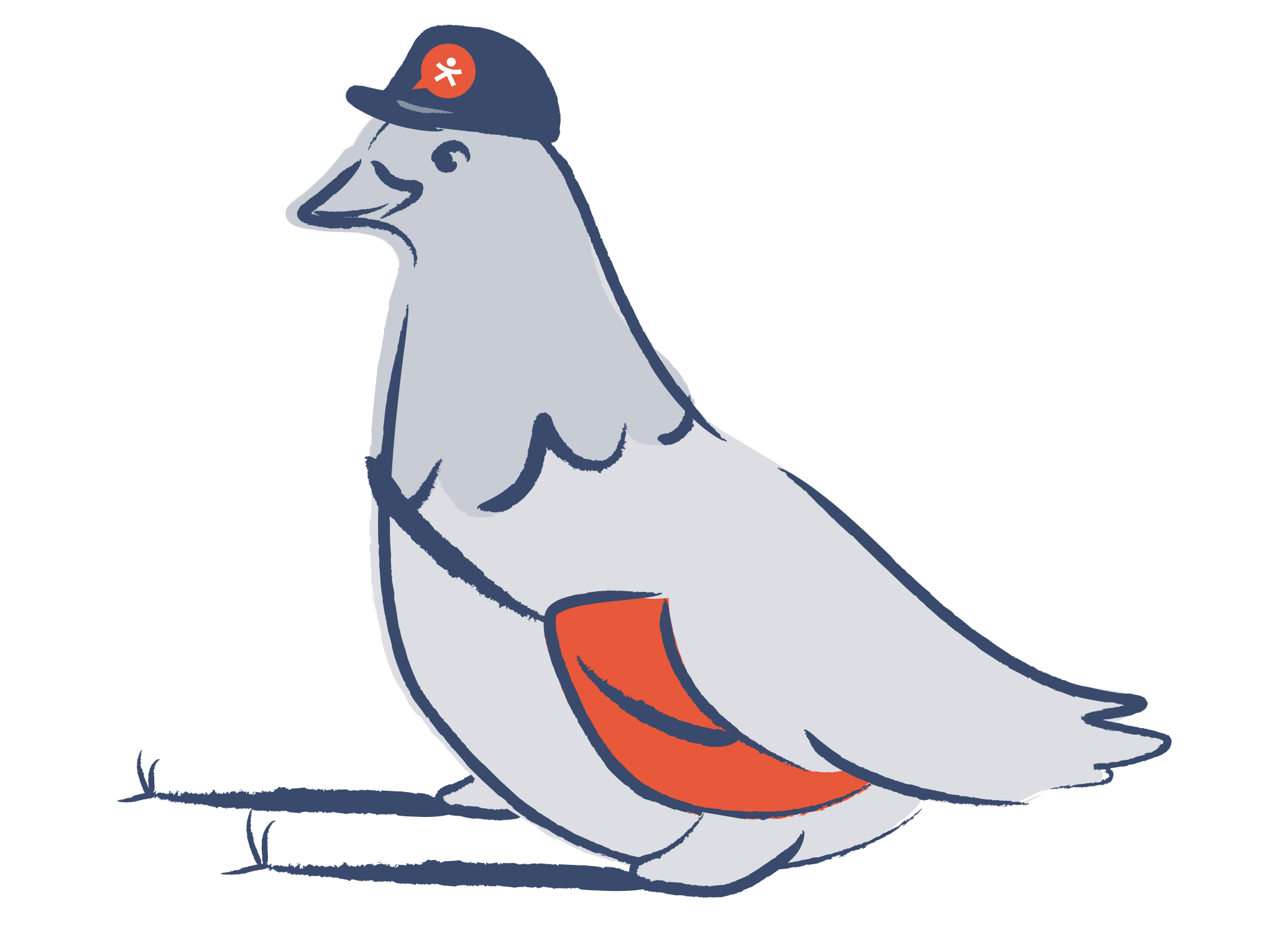 Doodle the Pigeon